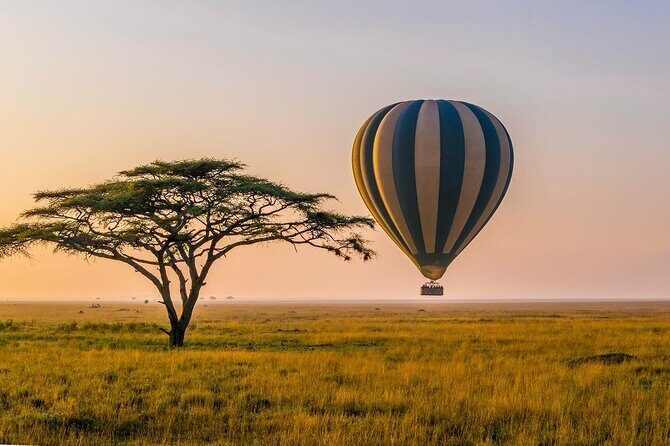 6 Days best adventure kilimanjaro ,Tarangire ,Serengeti &Ngorongoro crater - What Makes This Tour Special?