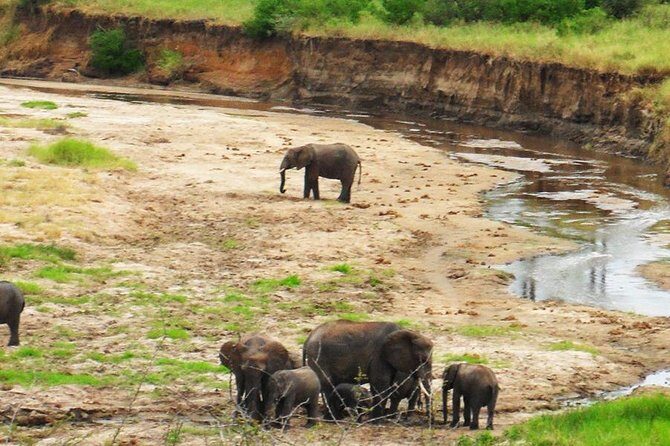 6 Days - Best of Nothern Parks Safari - Why This Tour Works for You