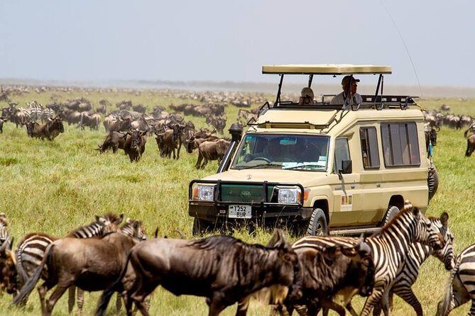 6 Days Budget Tanzania Camping Safari - Why This Tour Offers Great Value