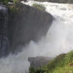 6 Days Chimps, Gorillas & Murchison Falls Africa's Big Five Experience Safari - The Experience: What Travelers Say