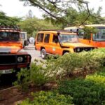 6 Days Climb Kilimanjaro Through Marangu Route - In-Depth Overview of the Kilimanjaro Marangu Route Tour