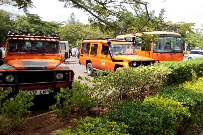 6 Days Climb Kilimanjaro Through Marangu Route - In-Depth Overview of the Kilimanjaro Marangu Route Tour