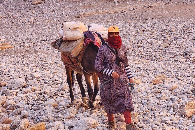 6 Days Desert Tour From Marrakech To Fes Via Merzouga Desert . - What Travelers Love About This Tour