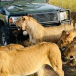 6 Days Kenya Budget Group Safari - Practical Aspects and Value