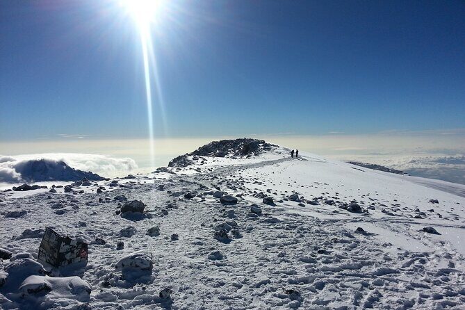 6 Days Kilimanjaro climbing | Hiking Tour via the Rongai Route - What Reviews Reveal About This Experience