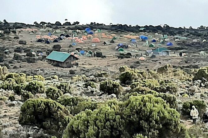 6 days Kilimanjaro Climbing Machame Route in Tanzania - What Makes This Tour Stand Out?