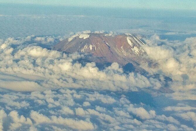 6 Days Kilimanjaro Climbing Machame route - Day-by-Day Breakdown: What You’ll Encounter