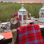 6 Days Luxury Lodge Safari To Lake Manyara, Serengeti, Ngorongoro & Tarangire - Practical Considerations