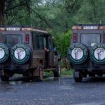 6 Days Luxury Northern Circuit Safari - A Glimpse of Tanzania Adventure - Who Will Love This Safari?