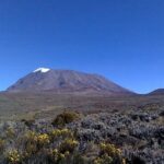 6 days Machame route From Arusha / Kilimanjaro - Detailed Review of the Machame Route Experience