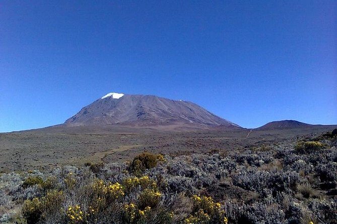 6 days Machame route From Arusha / Kilimanjaro - Detailed Review of the Machame Route Experience