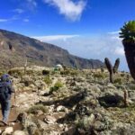 6 Days Machame Route Kilimanjaro Trekking - What Makes This Tour Stand Out?