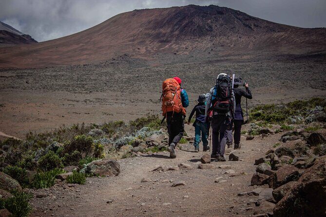 6 Days MARANGU ROUTE (Kilimanjaro Trekk) - Logistics and Practical Considerations