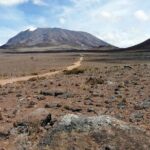 6 Days Marangu Route Kilimanjaro Trekking - Practical Considerations and What To Expect