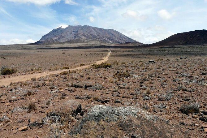 6 Days Marangu Route Kilimanjaro Trekking - Practical Considerations and What To Expect