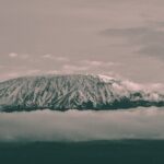6 Days Mount Kilimanjaro Climbing via Rongai Route - Who Should Consider This Kilimanjaro Climb?