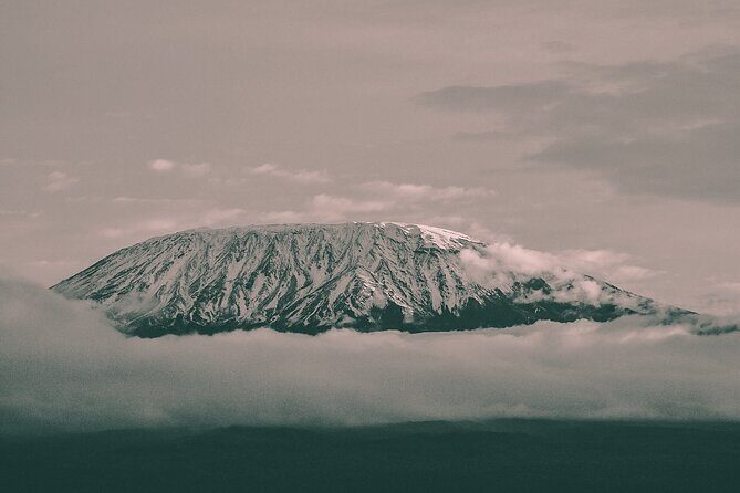 6 Days Mount Kilimanjaro Climbing via Rongai Route - Who Should Consider This Kilimanjaro Climb?
