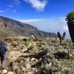 6 Days Mount Kilimanjaro Machame Route Climb - What Sets This Tour Apart?