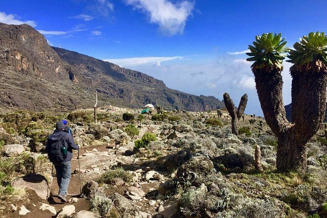 6 Days Mount Kilimanjaro Machame Route Climb - What Sets This Tour Apart?