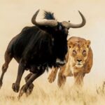 6-Days of Elephants, Wildebeest and Big 5: Kenyas Classic Safari - Transportation, Guides, and Overall Experience