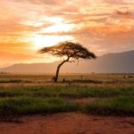 6 Days of Kenyan Wonders: Amboseli, Lake Nakuru, and Masai Mara - In-Depth Review of the 6-Day Kenya Safari