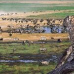 6 Days Private Camping Safari Serengeti, Ngorongoro, Lake Manyara and Tarangire - What Makes This Safari Stand Out?