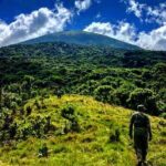 6 days Private Rwanda Primates and Wildlife Experience Tour - Why This Tour Offers Great Value