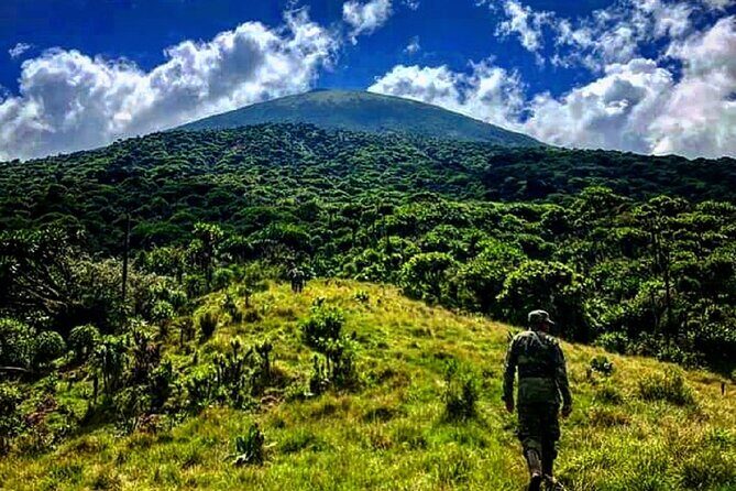 6 days Private Rwanda Primates and Wildlife Experience Tour - Why This Tour Offers Great Value