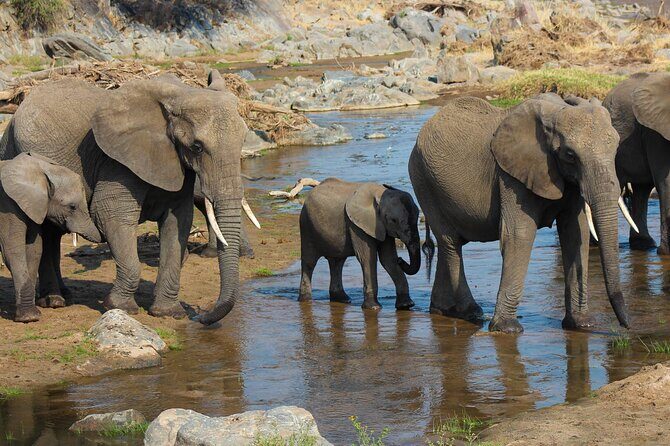 6 Days Private Tanzania Midrange Safari Adventure - Transportation and Comfort