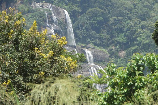 6 Days Safari to Mikumi Np, Udzungwa Mountain NP and Nyerere NP (Selous GR) - Exploring the Itinerary in Detail