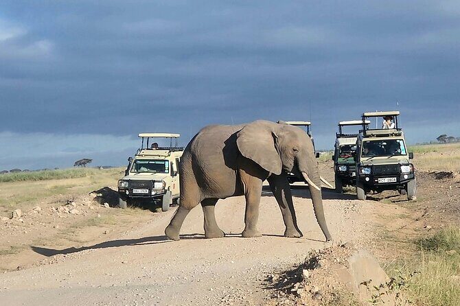 6 Days Safari Tour in Amboseli, Tsavo West and Tsavo East - The Value of This Safari