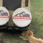 6 Days Tanzania Budget Camping Safari with Migration - Practical Details & What to Expect