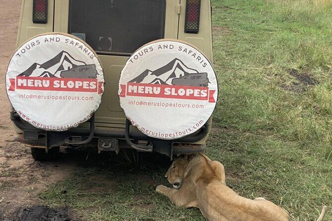 6 Days Tanzania Budget Camping Safari with Migration - Practical Details & What to Expect