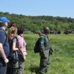 6 Days Tanzania Luxury Safari Tour - Why This Safari Offers Great Value