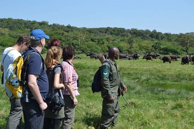 6 Days Tanzania Luxury Safari Tour - Why This Safari Offers Great Value