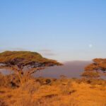 6 Days Tanzania Northern Circuit Safari - Authentic Feedback from Travelers