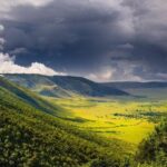 6 Days Tanzania Wildlife And Cultural Tour - The Practical Details