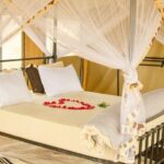 6 Days Tanzania Wildlife Camping Safari - Day 3: Serengeti National Park