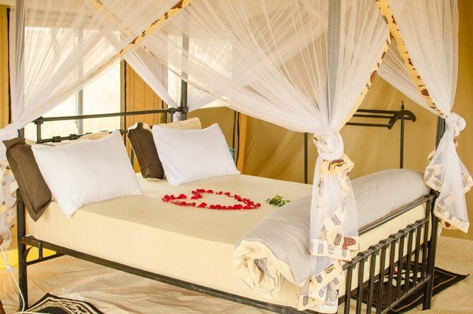 6 Days Tanzania Wildlife Camping Safari - Day 3: Serengeti National Park