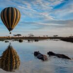6 Days Tarangire, Serengeti, Ngorongoro & Manyara Joining Tour - Who Is This Tour Best Suited For?