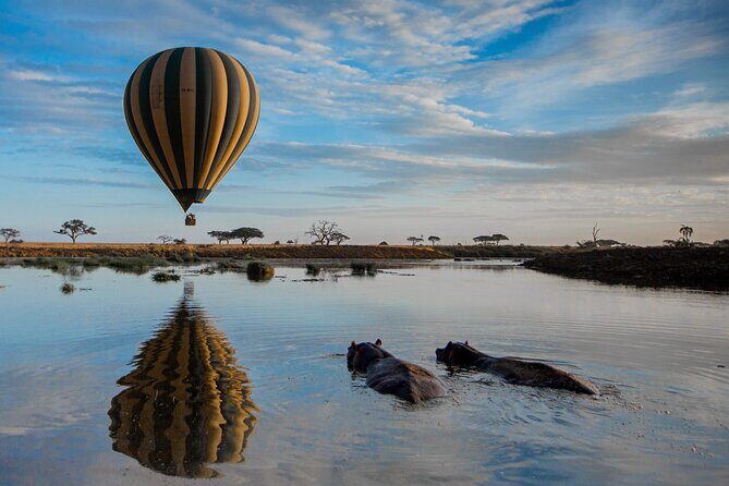6 Days Tarangire, Serengeti, Ngorongoro & Manyara Joining Tour - Who Is This Tour Best Suited For?