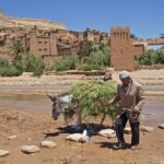6 days tour from Casablanca to Marrakech via imperiale cities And Sahara Desert - Who Is This Tour Best For?