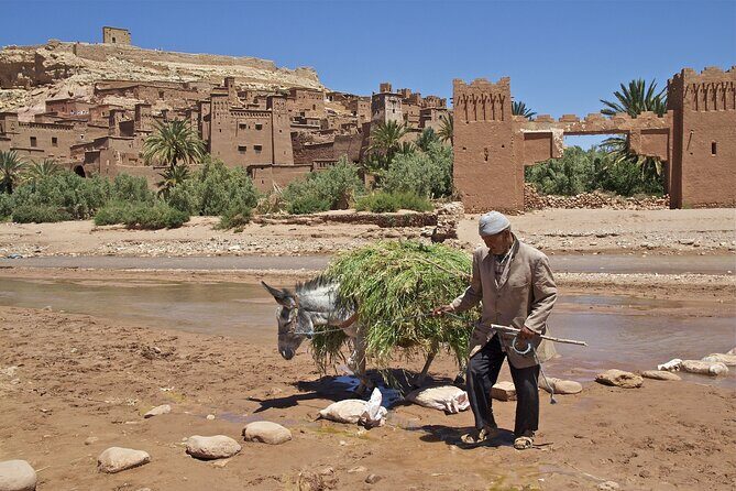 6 days tour from Casablanca to Marrakech via imperiale cities And Sahara Desert - Who Is This Tour Best For?
