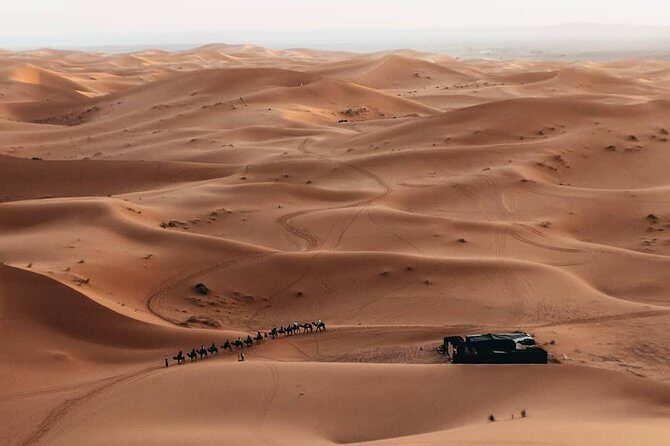 6 days trekking To The heart of Desert - Practical Details and Value