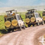 6-DayThe Best of Northern Tanzania Safari - Who Is This Safari Best For?