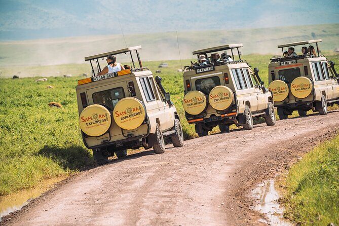 6-DayThe Best of Northern Tanzania Safari - Who Is This Safari Best For?