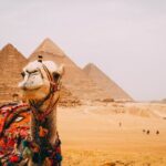 6 Hour Private Tour in Giza Pyramids, Citadel and Coptic Cairo - Authentic Experiences and Insider Tips