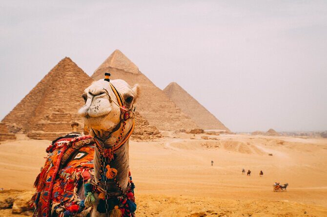 6 Hour Private Tour in Giza Pyramids, Citadel and Coptic Cairo - Authentic Experiences and Insider Tips