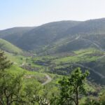 7 Day 6 Night Discover Jordan Tour - What Makes This Tour Stand Out?