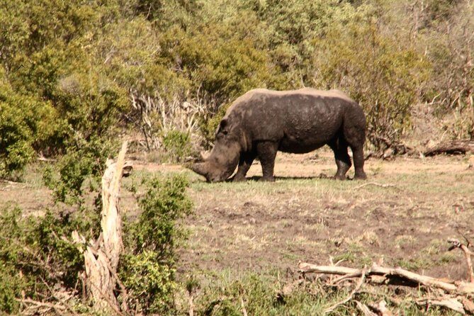 7 Day Guided Safari Tour in Kenya and Tanzania - Practical Considerations
